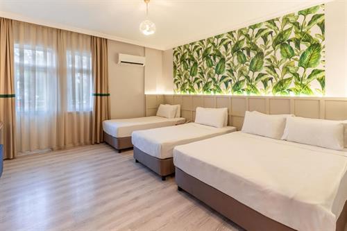 L'ancora Beach Hotel - COMFORT ROOM - 248421