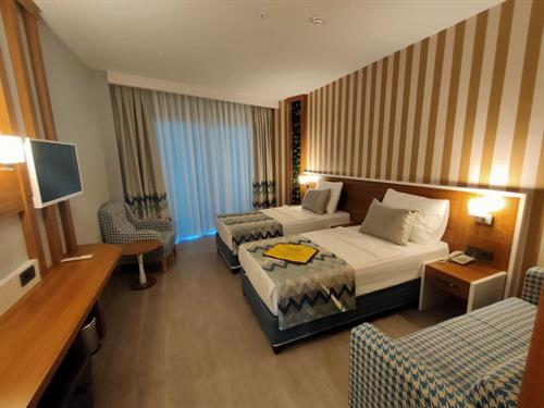 Lonicera Premium - STANDARD ROOM - 235449