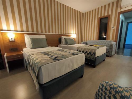 Lonicera Premium - STANDARD ROOM - 235450