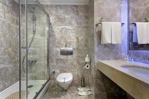 Miracle Resort Hotel - STANDARD ROOM - 243128