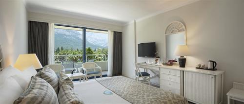 Mirage Park Resort - STD ROOM MOUNTAIN VIEW - 187069