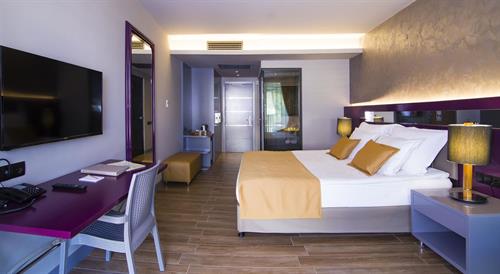 Mirage World - DELUXE ROOM - 224463