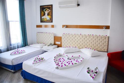 Miranda Moral Hotel - STANDARD ROOM - 248354
