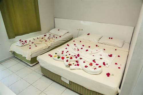 More Hotel - STANDARD ROOM - 215545