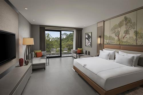 Ng Phaselis Bay - DELUXE ROOM FOREST VIEW - 225000