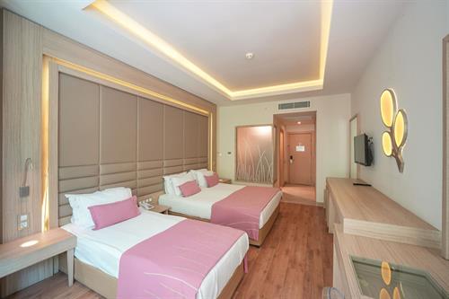 Orka Lotus Beach - STD ROOM LAND VIEW - 242719
