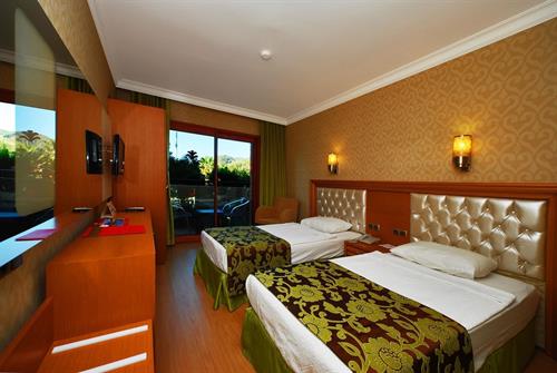 Pasabey Hotel - STD ROOM LAND VIEW - 190739