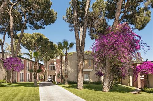 Pine Beach Belek - CLUB ROOM - 222502