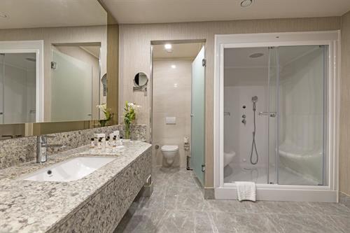 Royal Seginus Hotel - DELUXE SUITE - 224209