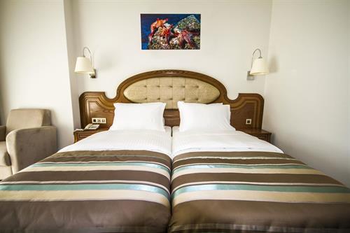 Sea Star Marmaris (Adults Only +16) - STANDARD ROOM LAND VIEW - 188518