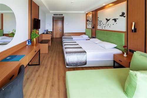 Sealife Buket Resort & Beach - STANDARD LARGE ROOM. - 237710