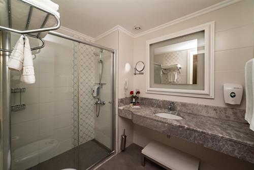 Seamelia Beach Resort Hotel & Spa - STANDARD ROOM LAND VIEW - 227207