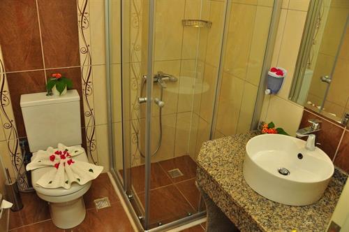 Selenium Hotel - STANDARD ROOM - 236418