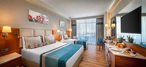 Sensitive Premium Resort & Spa - STD LAND VIEW ROOM - 236474