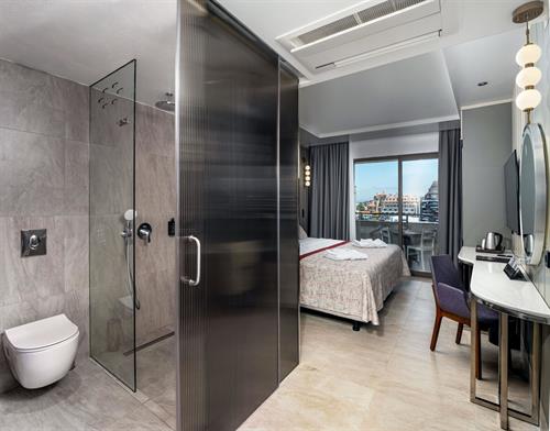 Side Alegria Hotel & Spa (Adults Only +16) - STANDARD ROOM LAND VIEW - 248259
