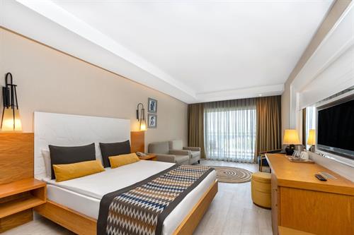 Sidera Kirman Premium - SUPERIOR LAND VIEW - 221460