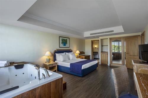 Simena Comfort Hotel - Hotel King Suite - 227584