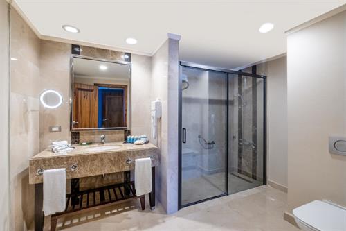 Susesi Luxury Resort - SENIOR SUITE LAND VIEW - 222679