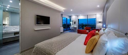 The Sense De Luxe Hotel - DELUXE SUITE - 223562