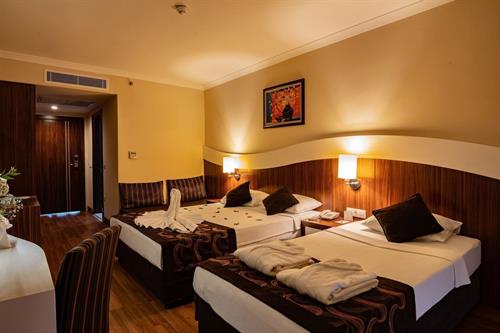 Throne Beach Resort & Spa - STANDARD ROOM - 206211