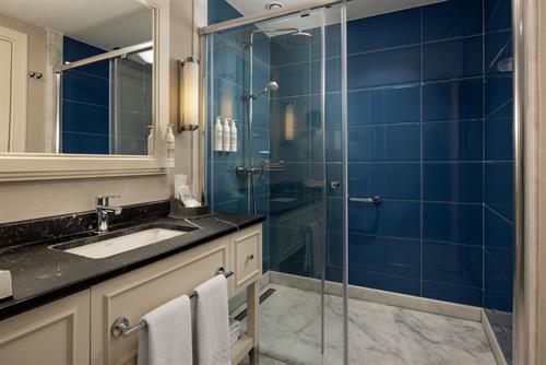 Titanic Deluxe Belek - SUPERIOR ROOM - 243740