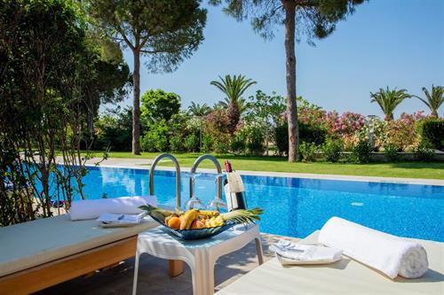 Venosa Beach Resort - SWIM UP ROOM - 196474
