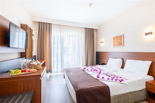 Viking Express Hotel - Standard Room (Adult Only +16) - 236894