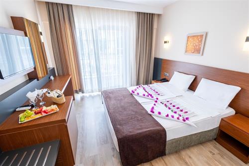 Viking Express Hotel - STANDARD ROOM - 236888