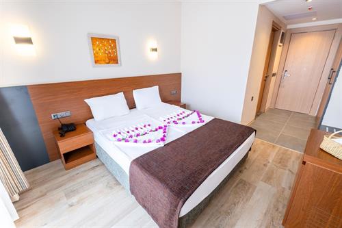 Viking Express Hotel - WITHOUT BALCONY ROOM - 236891