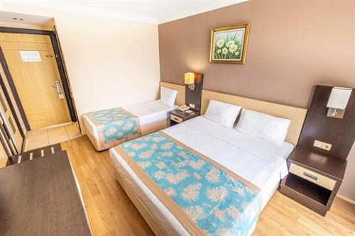 Viking Nona Beach - STANDARD ROOM - 248663