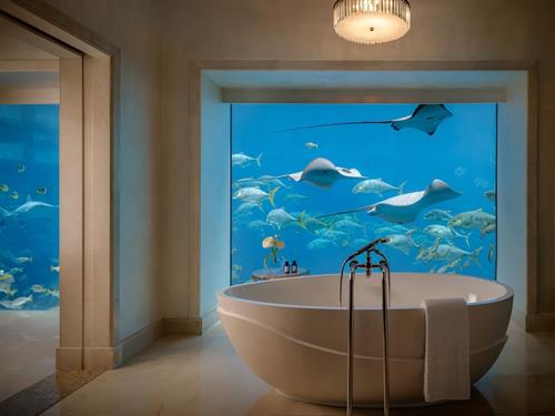 Atlantis The Palm - Underwater Suite - 226955