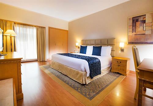 Millennium Plaza Downtown Hotel - STANDARD ROOM - 194683