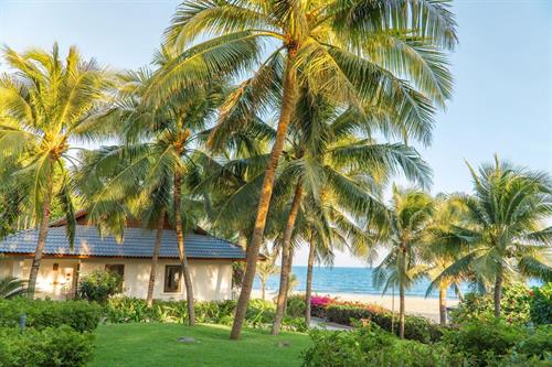 The Cliff Resort & Residences - Bungalow Beach Front - 237178