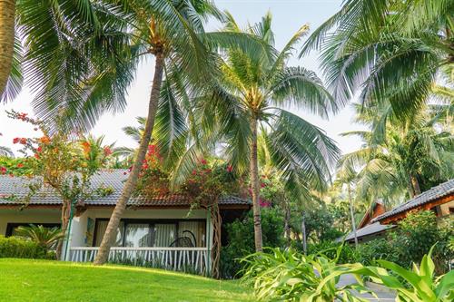 The Cliff Resort & Residences - BUNGALOW GARDEN VIEW - 237174